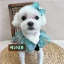몽심살롱