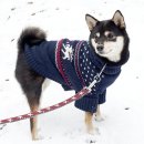 쓰담쓰담해줄개 이미지