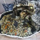 김인규돈까스전문점 이미지