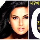 정품헤나