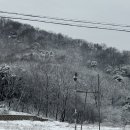 (주)비비비 이미지