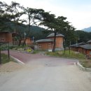 스머프마을 이미지