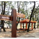 대송면 용암사 이미지