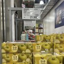 삼진농장 | 2.1.기준 코스트코 장보기 후기｜가성비 신상품 &amp; 할인템 추천