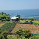 매물도푸른민박 이미지