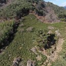 다원화학 이미지