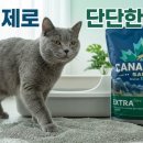 모래탑 | 고양이 벤토나이트 모래 교체 후기 먼지와 응고력 위주 정리