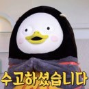 손수다
