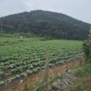 팔봉지하수