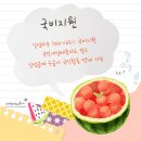 컴퓨터활용능력(2급) 자격 이미지