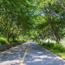 배내골사과정보화마을 이미지