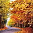 Chill﻿ Autumn Oldies 이미지