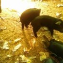 화촌면 산초울로 이미지