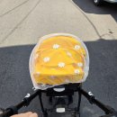 울산광역시 남구 옥동 행정복지센터 이미지