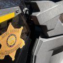 THE DREAM MOTORS 이미지