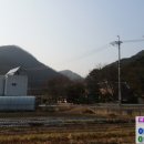 장안사진입로 네이버블로그