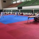 타이거태권도장 이미지