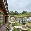 친환경 그린 가드닝 이미지