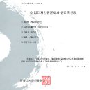 레브드디자인