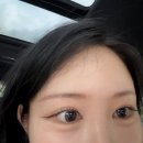 디자인필 - 청주시 흥덕구 | 범계 속눈썹펌 찾는다면? 1:1 퍼스널 디자인으로 만족했던 리바이필뷰티 안양범계점 후기 ˖⁺