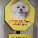 커피공방 | 창원 파스타공방 솔직후기｜커피만 주문해도 이용 OK! 용호동 가족·데이트 코스 추천