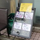 스시세븐