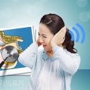와이덱스보청기의료기