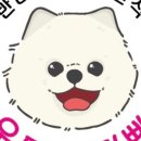 우디네 점빵 이미지