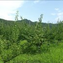 내곡농장 이미지