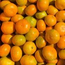 민우농장 이미지