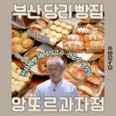 파네토네과자점 | 천하제빵 출연한 부산 당리 빵집, 앙또르과자점 부산 빵지순례 꼭 가봐야할 곳