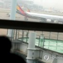 아시아나항공조종사노동조합 이미지