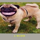 복 - 서구 대영로 37 | 복