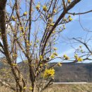 외산보건진료소 이미지