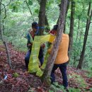 홍천국유림관리소 이미지