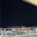 부산광역시 동구 중앙대로 236번길 | 부산역 도보 5분! 애견동반 숙소 하운드 호텔 펫 룸 &amp; 루프탑 수영장 후기 전기차 충전기 있음