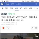 '잘린 귀 표식만 남은 고양이'…가짜 중성화 수술 의혹 이미지