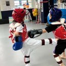 국가대표 한숲 HIT 태권도장 이미지