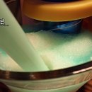 버버니 이미지