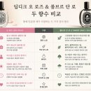 오는일 | 딥디크 룸브르단로 & 오로즈 후기 비 오는 날과 여름에 자꾸 손이 가는 향수