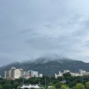부산시청 푸드트럭존 | 직접 가본 2026 동대문구 맥주축제 장안동 여름밤 현장 후기 : 맥주 푸드트럭 이벤트 팁 후기