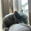 율전동물병원 이미지