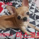 더블랙펄컴퍼니 이미지