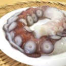 "3위 장어, 2위 산낙지" 바다의 인삼으로 산삼보다 100배 좋다는 의외의 건강식 이미지