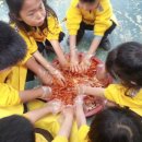 원평팜스테이마을 이미지