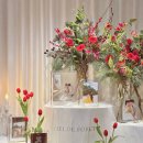 드와 | 씨엘드포레 밝은홀 아이폰스냅 촬영 후기