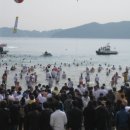 거제도국제펭귄수영축제 이미지