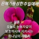 정주고내가우네ㅡ주 현미노래ㅡ손과 얼굴로 그리는 영상입니다ㅡ 희망 대공원 트레킹 ㅡ 이마트 장보기여요 이미지