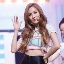덤덤 이미지