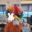 리프패럿 이미지